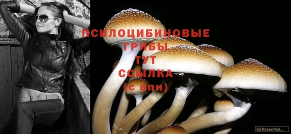 молекула духа Абдулино