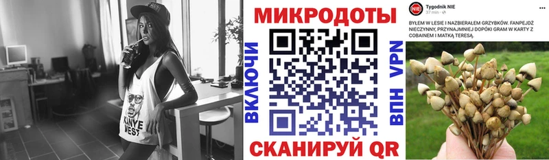 Псилоцибиновые грибы Psilocybe  цена наркотик  Никольское 